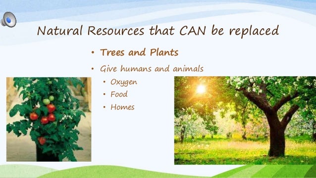 Man Made Resources Used To Make Cars Man Made Resources Used To Make Cars