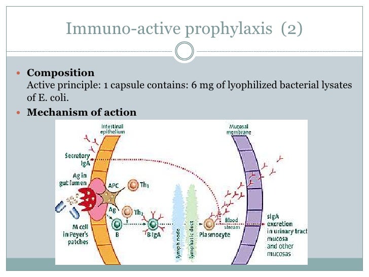 Recurrent UTI in females