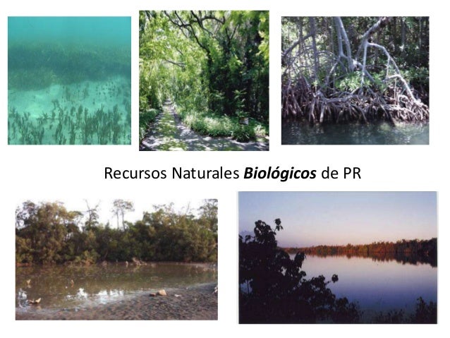 Recursos Naturales Biológicos de PR
 