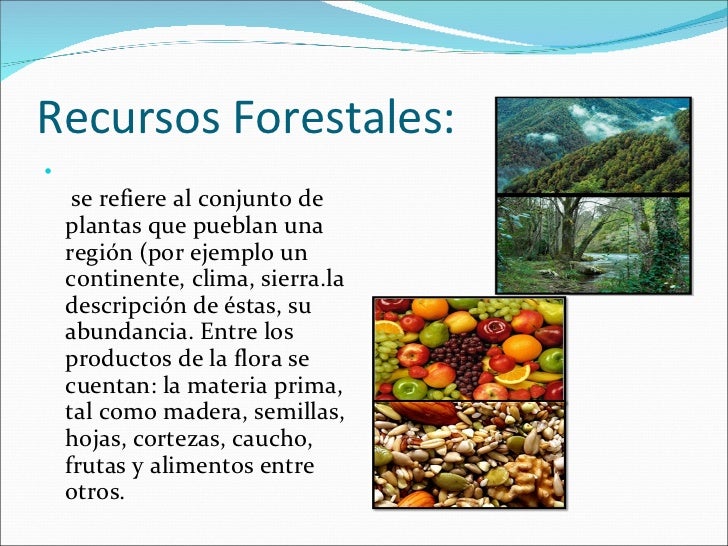 Recursos naturales diapositiva ultimo toq Recursos naturales diapositiva ultimo toq