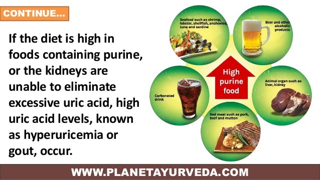 Foods high in uric acid