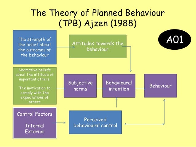Personality theory essay