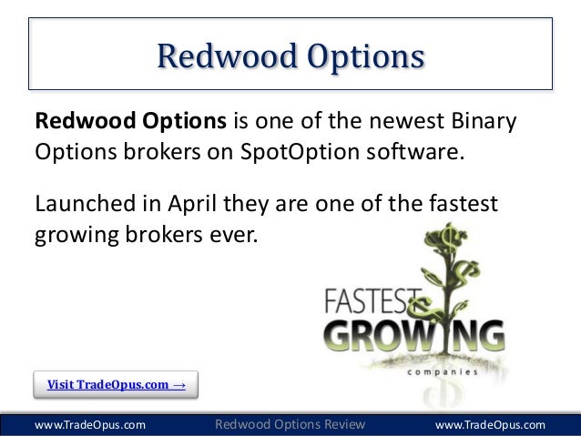 redwood binary options broker coaching