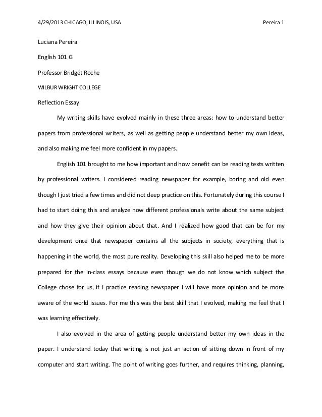 Reflection essay 1 essay