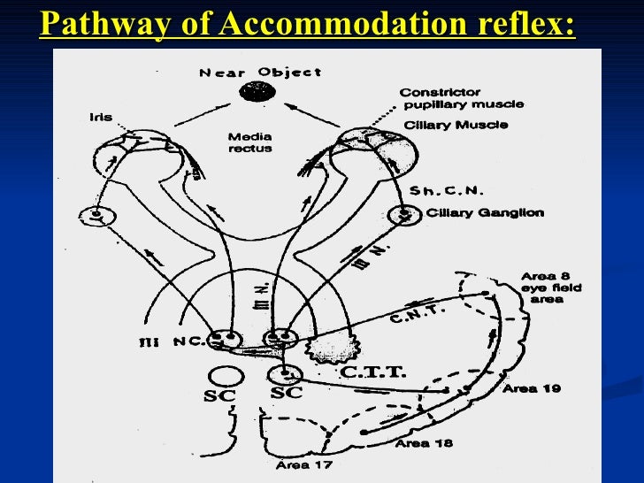 Refractory Media Of Eye S4 March 10