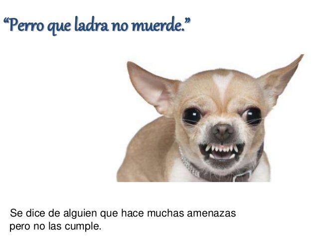Refranes con animales