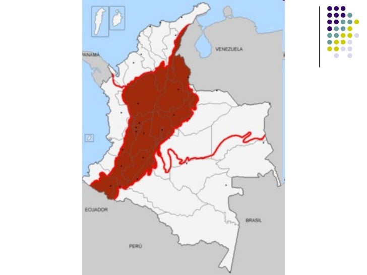 Descripcion de la caracteristicas region andina de colombia