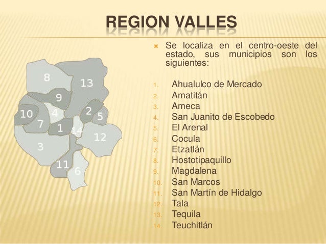 Regiones de jalisco 1