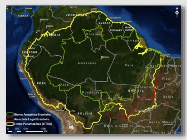 brasileira completo brasileira completo