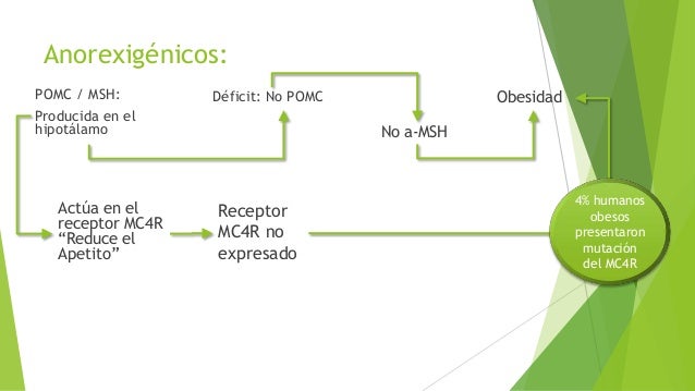 Regulación Neuroendocrina del Balance Energético Regulación Neuroendocrina del Balance Energético