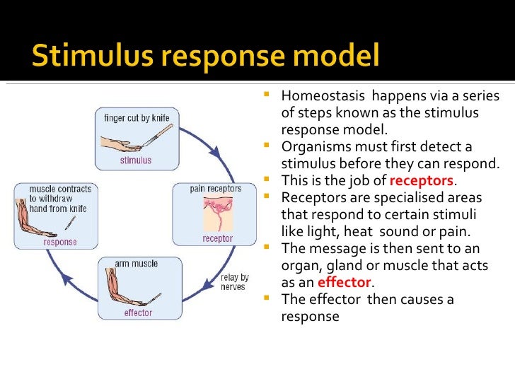Regulation & control