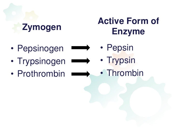 Regulation of enzyme activity
