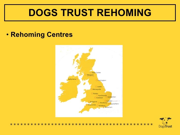 rehoming