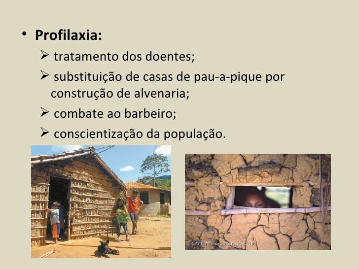 Que boa nata de um fungo de pé