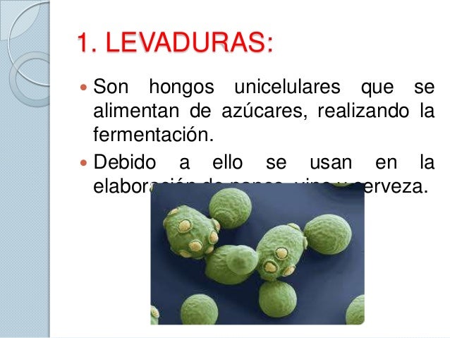 El hongo de las uñas en las manos que curar por los medios públicos