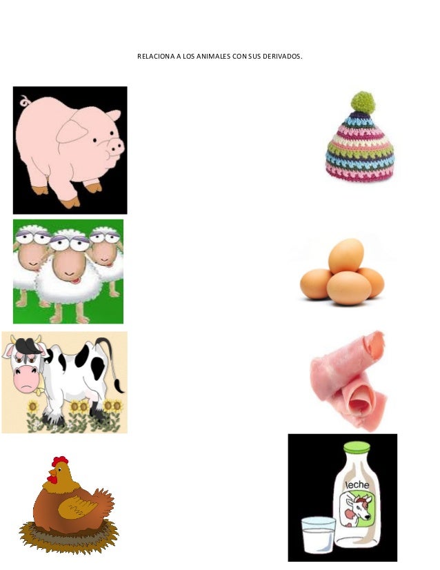 Imagenes De Animales Y Sus Derivados | animales y sus derivados imagui Imagenes De Animales Y Sus Derivados | animales y sus derivados imagui