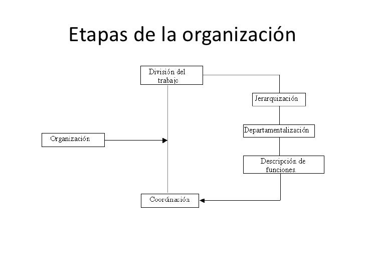 Proceso de organizacion