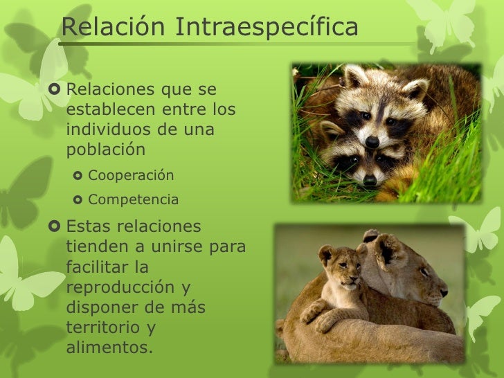 Resultado de imagen para que es intraespecifica