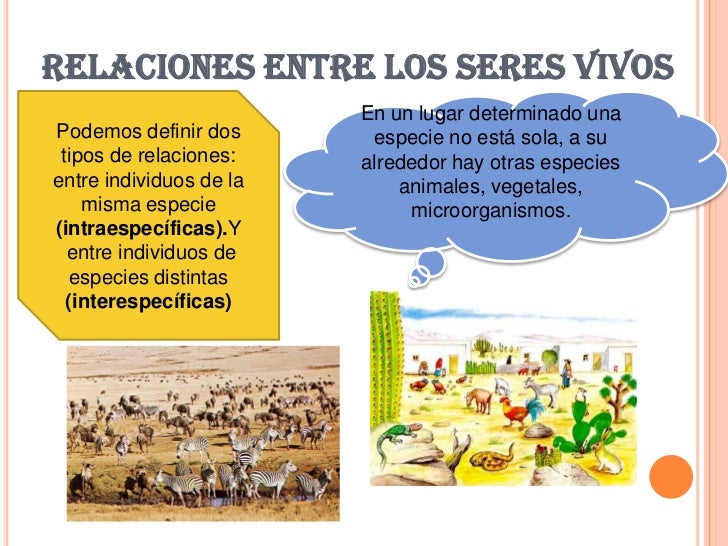 Resultado de imagen para imagenes relacion de los seres vivos