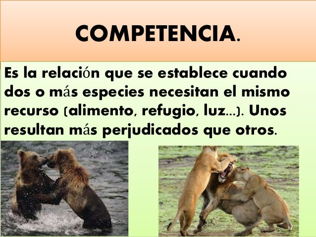 Resultado de imagen para que es competencia y depredacion de los seres vivos