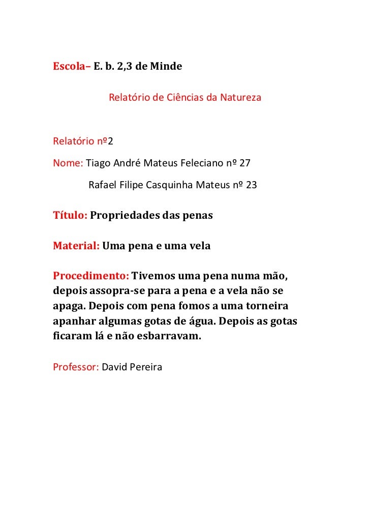 Relatorio ciencia politica