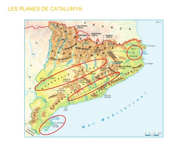 RELLEU DE CATALUNYA