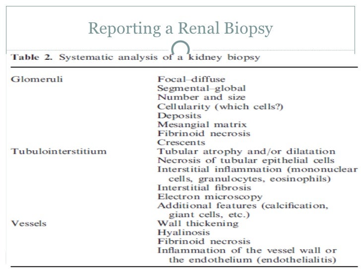 biopsy report sample renal biopsy seminar biopsy report sample renal biopsy seminar