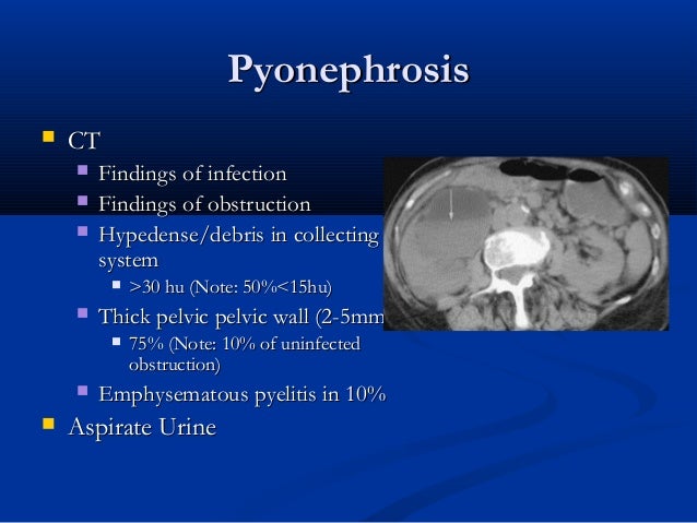 Renal inflammatory disease