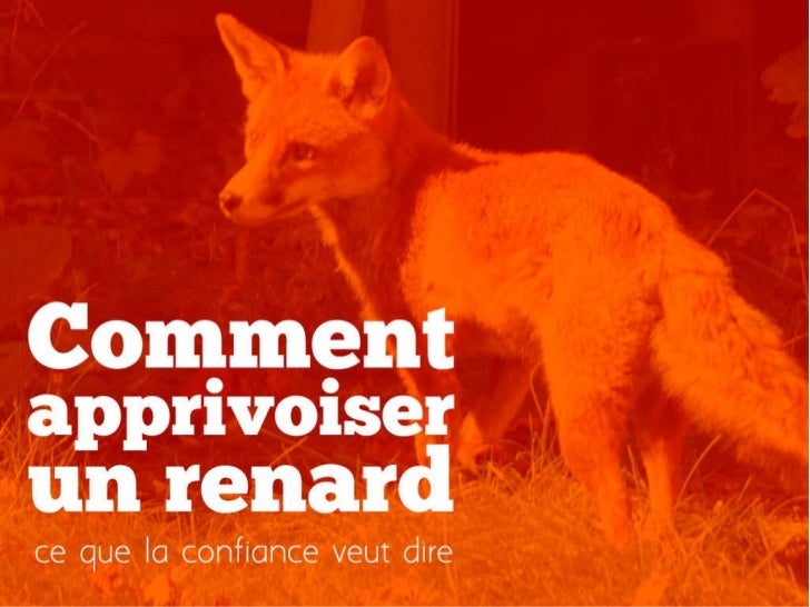 Comment apprivoiser un renard Comment apprivoiser un renard