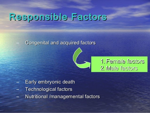 Arguments for stem cell research image
