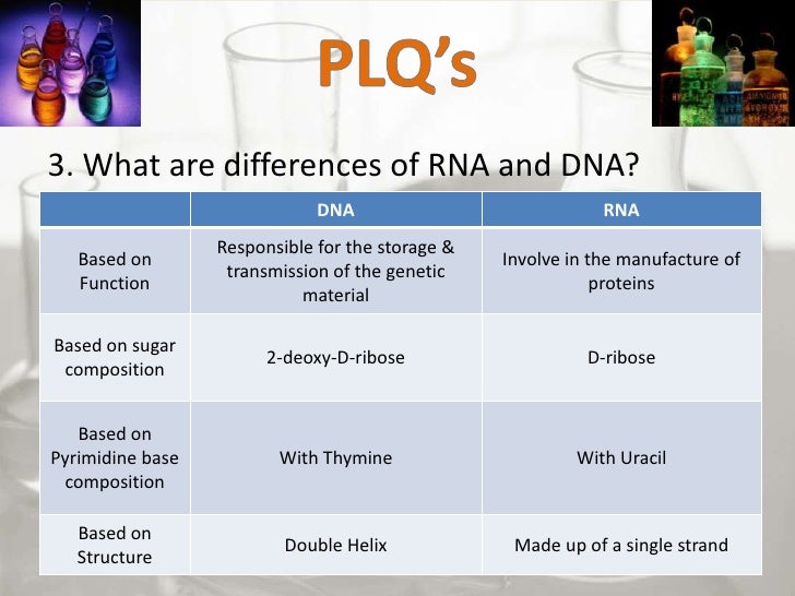 Report exp 6 and 7 (DNA and RNA)