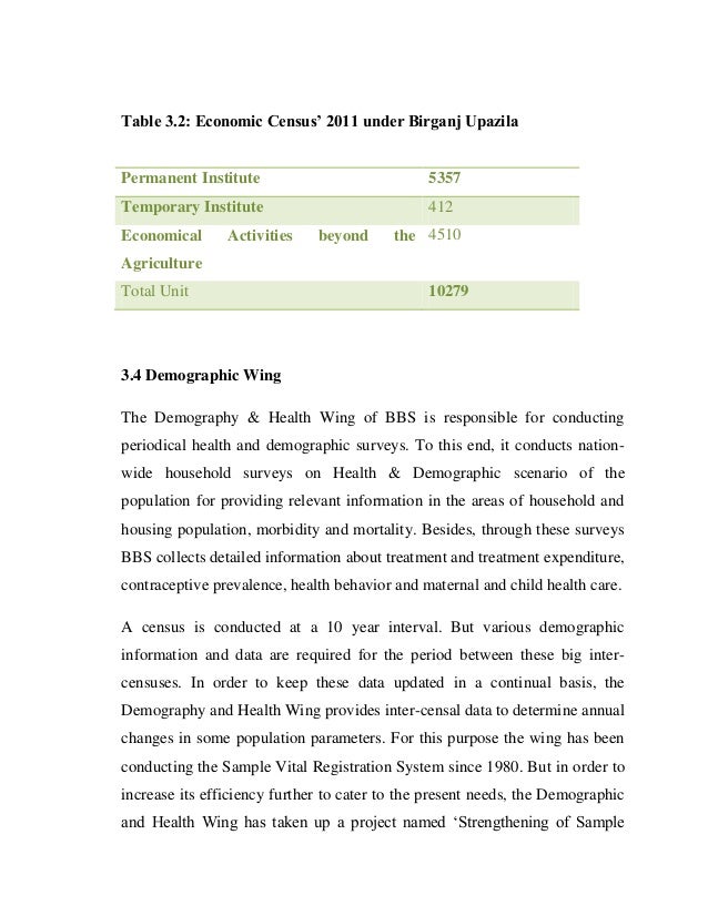 census economic report
