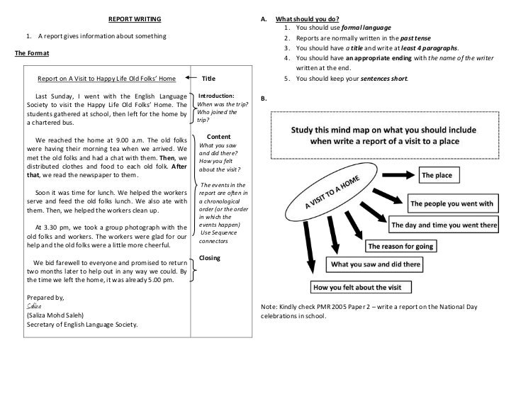 Sample essay report