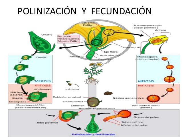 Imagen relacionada