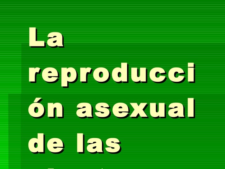 Reproduccion asexual Reproduccion asexual