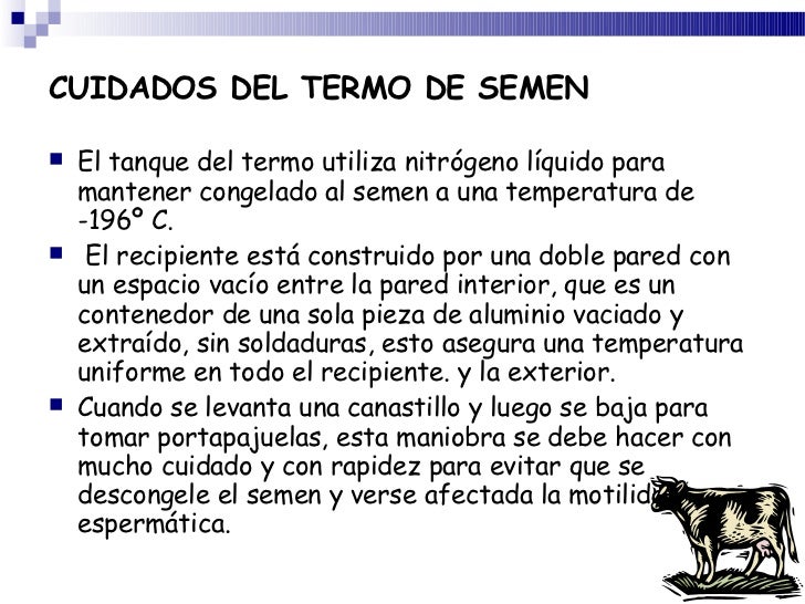 Los riñones duele arde la parte inferior del vientre