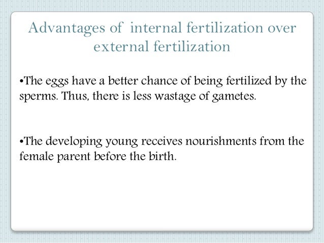 Image Gallery internal fertilization advantages