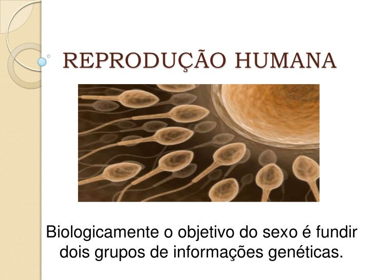 como funciona a reprodução humana?