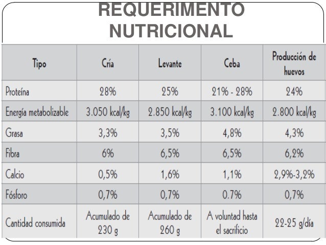 Resultado de imagen para requerimientos nutricionales