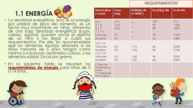 Requerimientos nutricionales y energéticos del escolar