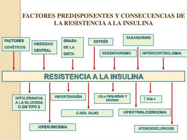 Resistencia a la insulina Resistencia a la insulina