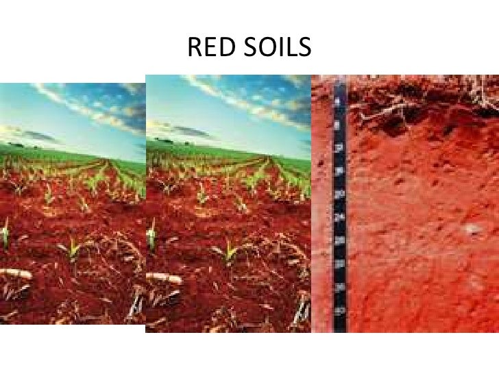 Resources and their Development ( Class X Geography)