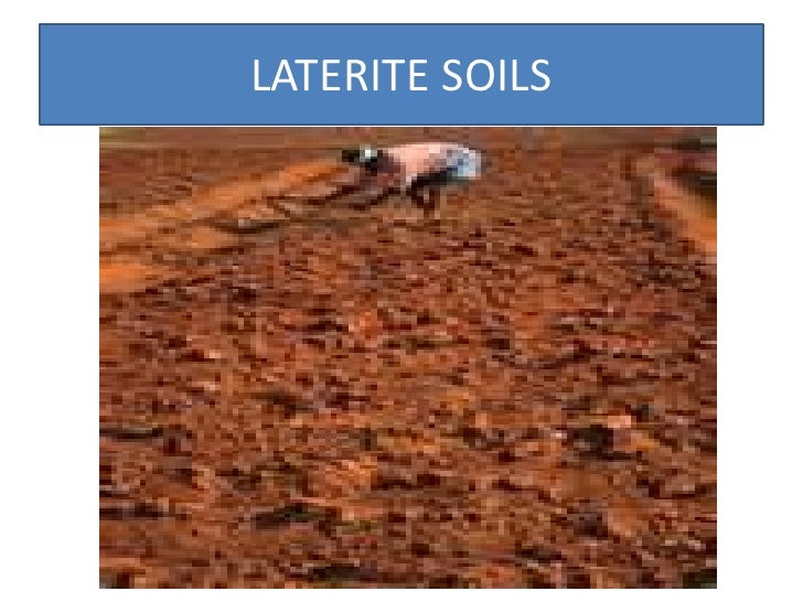 laterite soil laterite soil