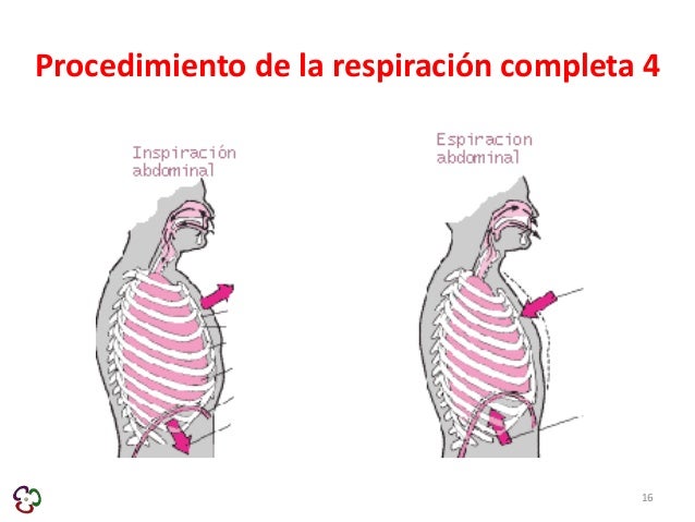 Los demasiado pequeños pechos