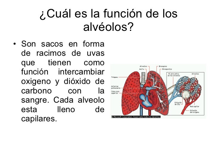 RespiracióN Y Cuidado De La Salud