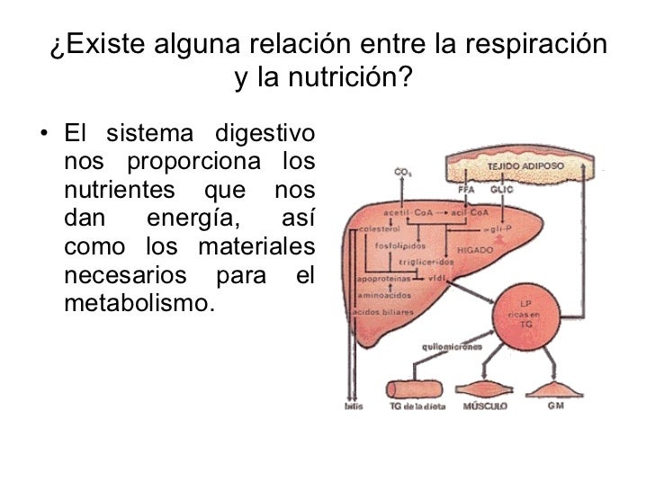 RespiracióN Y Cuidado De La Salud