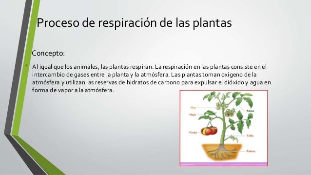 Por que se agudiza la psoriasis