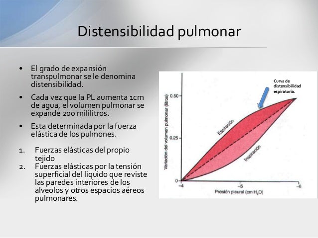 Respiracin