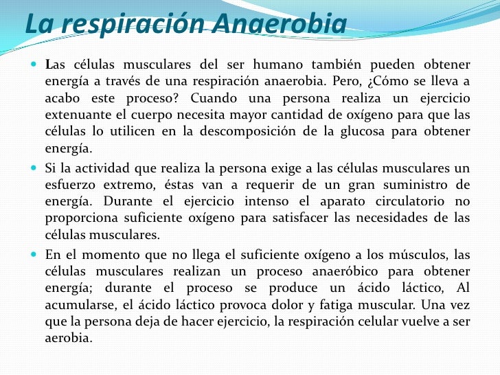 Los impactos de las lombrices al organismo