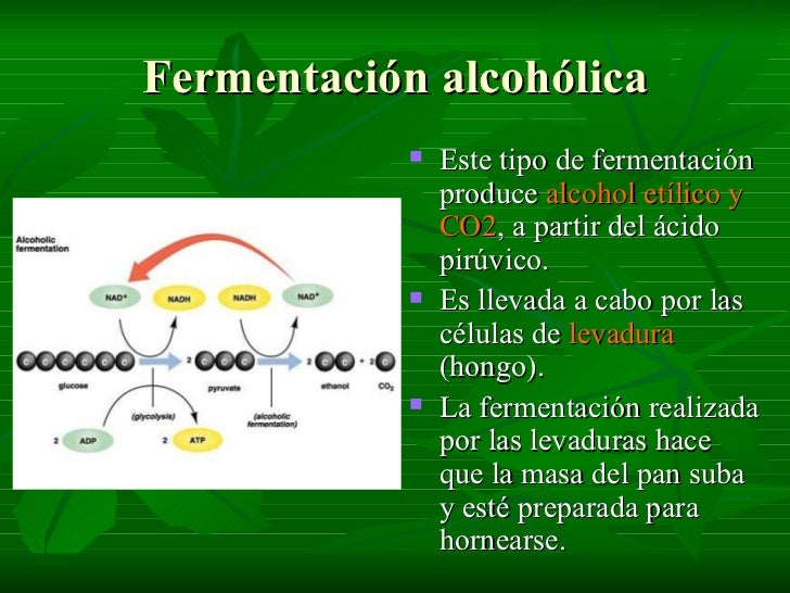 La codificación para 2 años el alcoholismo
